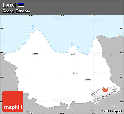 Gray Simple Map of Leisi