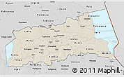 Shaded Relief 3D Map of Tartu, desaturated