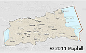 Shaded Relief 3D Map of Tartu, lighten, desaturated