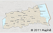 Shaded Relief 3D Map of Tartu, lighten, semi-desaturated