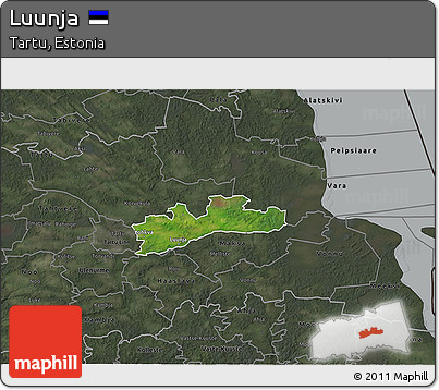 Satellite 3D Map of Luunja, darken, semi-desaturated