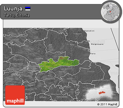 Satellite 3D Map of Luunja, desaturated