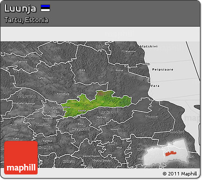 Satellite 3D Map of Luunja, desaturated