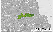 Satellite 3D Map of Luunja, lighten, desaturated