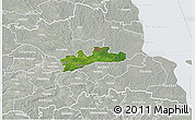 Satellite 3D Map of Luunja, lighten, semi-desaturated