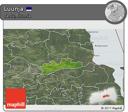 Satellite 3D Map of Luunja, semi-desaturated