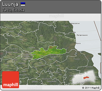 Satellite 3D Map of Luunja, semi-desaturated