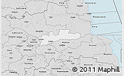 Silver Style 3D Map of Luunja