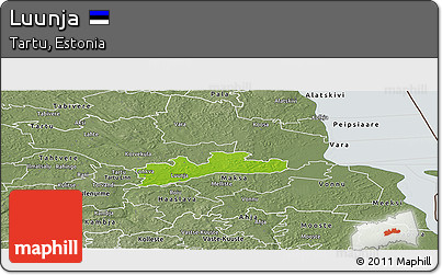 Physical Panoramic Map of Luunja, semi-desaturated