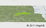 Physical Panoramic Map of Luunja, semi-desaturated