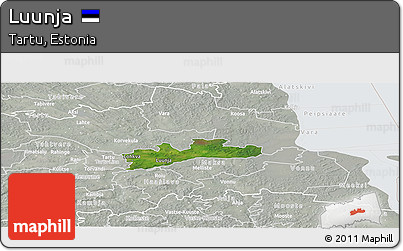 Satellite Panoramic Map of Luunja, lighten, semi-desaturated
