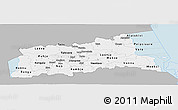 Gray Panoramic Map of Tartu, single color outside