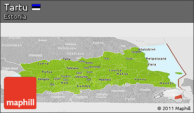 Physical Panoramic Map of Tartu, lighten, desaturated