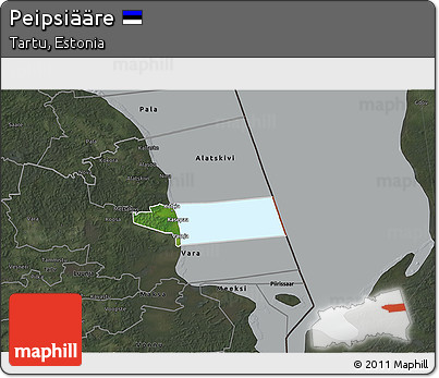Satellite 3D Map of Peipsiääre, darken, semi-desaturated