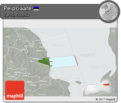 Satellite 3D Map of Peipsiääre, lighten, semi-desaturated