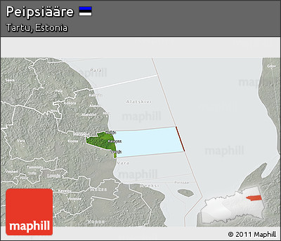 Satellite 3D Map of Peipsiääre, lighten, semi-desaturated