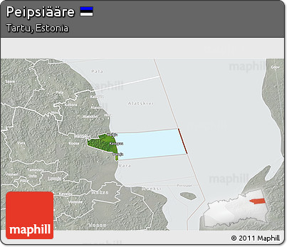 Satellite 3D Map of Peipsiääre, lighten, semi-desaturated