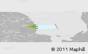 Physical Panoramic Map of Peipsiääre, lighten, desaturated