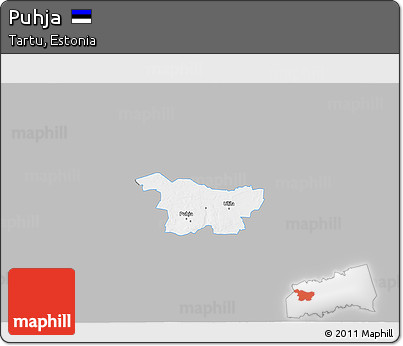Gray 3D Map of Puhja, single color outside
