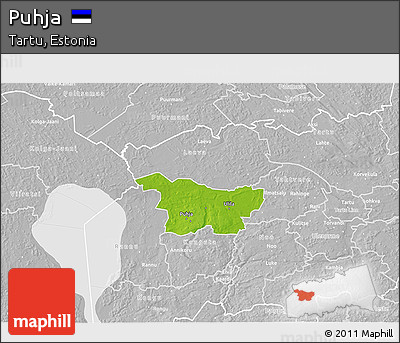 Physical 3D Map of Puhja, lighten, desaturated