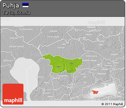 Physical 3D Map of Puhja, lighten, desaturated