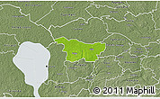 Physical 3D Map of Puhja, semi-desaturated