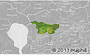 Satellite 3D Map of Puhja, lighten, desaturated
