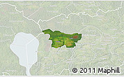 Satellite 3D Map of Puhja, lighten