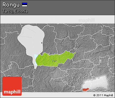 Physical 3D Map of Rongu, desaturated
