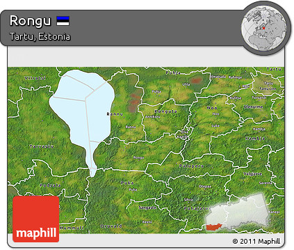 Satellite 3D Map of Rongu