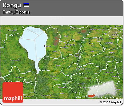 Satellite 3D Map of Rongu
