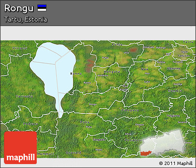 Satellite 3D Map of Rongu