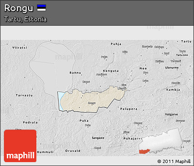 Shaded Relief 3D Map of Rongu, desaturated