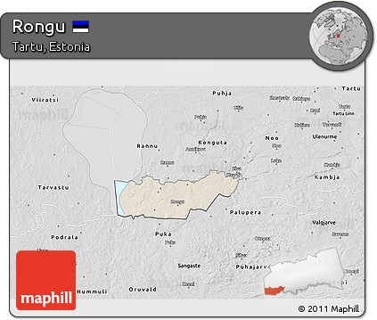 Shaded Relief 3D Map of Rongu, desaturated