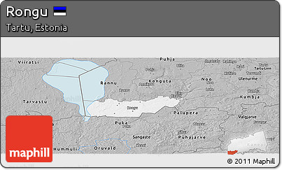 Gray Panoramic Map of Rongu