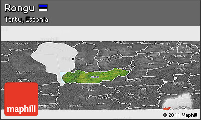 Satellite Panoramic Map of Rongu, desaturated