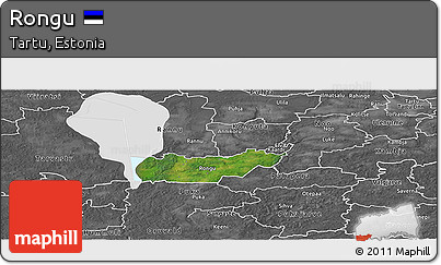 Satellite Panoramic Map of Rongu, desaturated