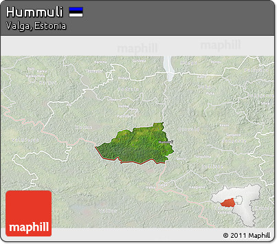 Satellite 3D Map of Hummuli, lighten