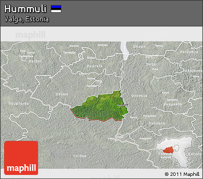 Satellite 3D Map of Hummuli, lighten, semi-desaturated