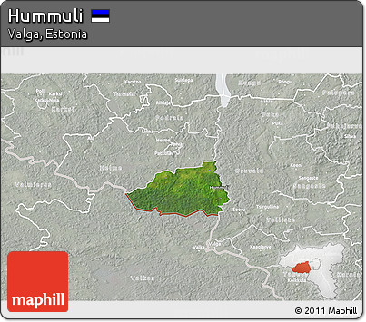 Satellite 3D Map of Hummuli, lighten, semi-desaturated