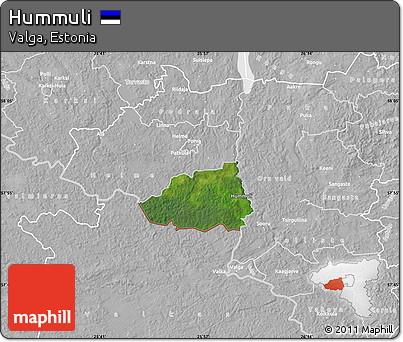 Satellite Map of Hummuli, lighten, desaturated