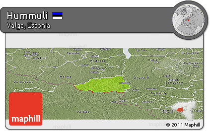 Physical Panoramic Map of Hummuli, semi-desaturated