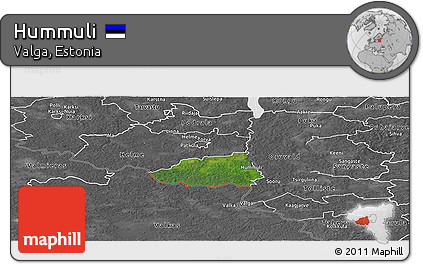 Satellite Panoramic Map of Hummuli, desaturated