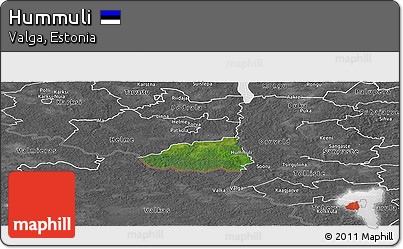 Satellite Panoramic Map of Hummuli, desaturated
