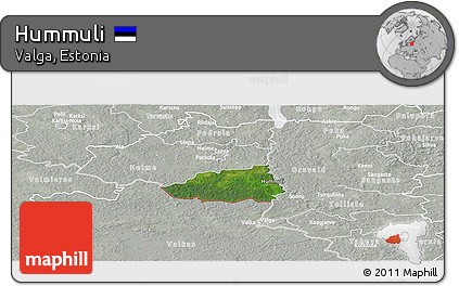 Satellite Panoramic Map of Hummuli, lighten, semi-desaturated