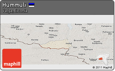 Shaded Relief Panoramic Map of Hummuli, semi-desaturated