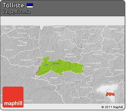 Physical 3D Map of Tolliste, lighten, desaturated