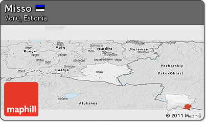 Silver Style Panoramic Map of Misso