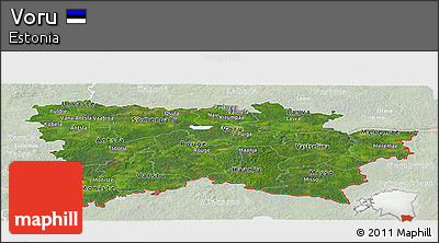 Satellite Panoramic Map of Voru, lighten