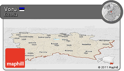Shaded Relief Panoramic Map of Voru, lighten, desaturated